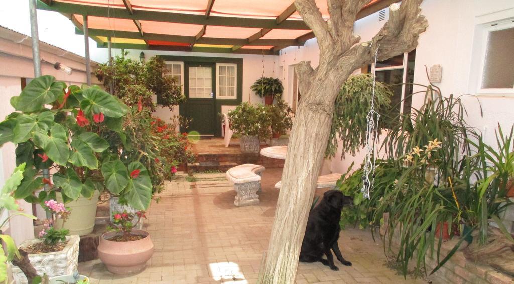 Van Rhyn Guest House Vanrhynsdorp Extérieur photo